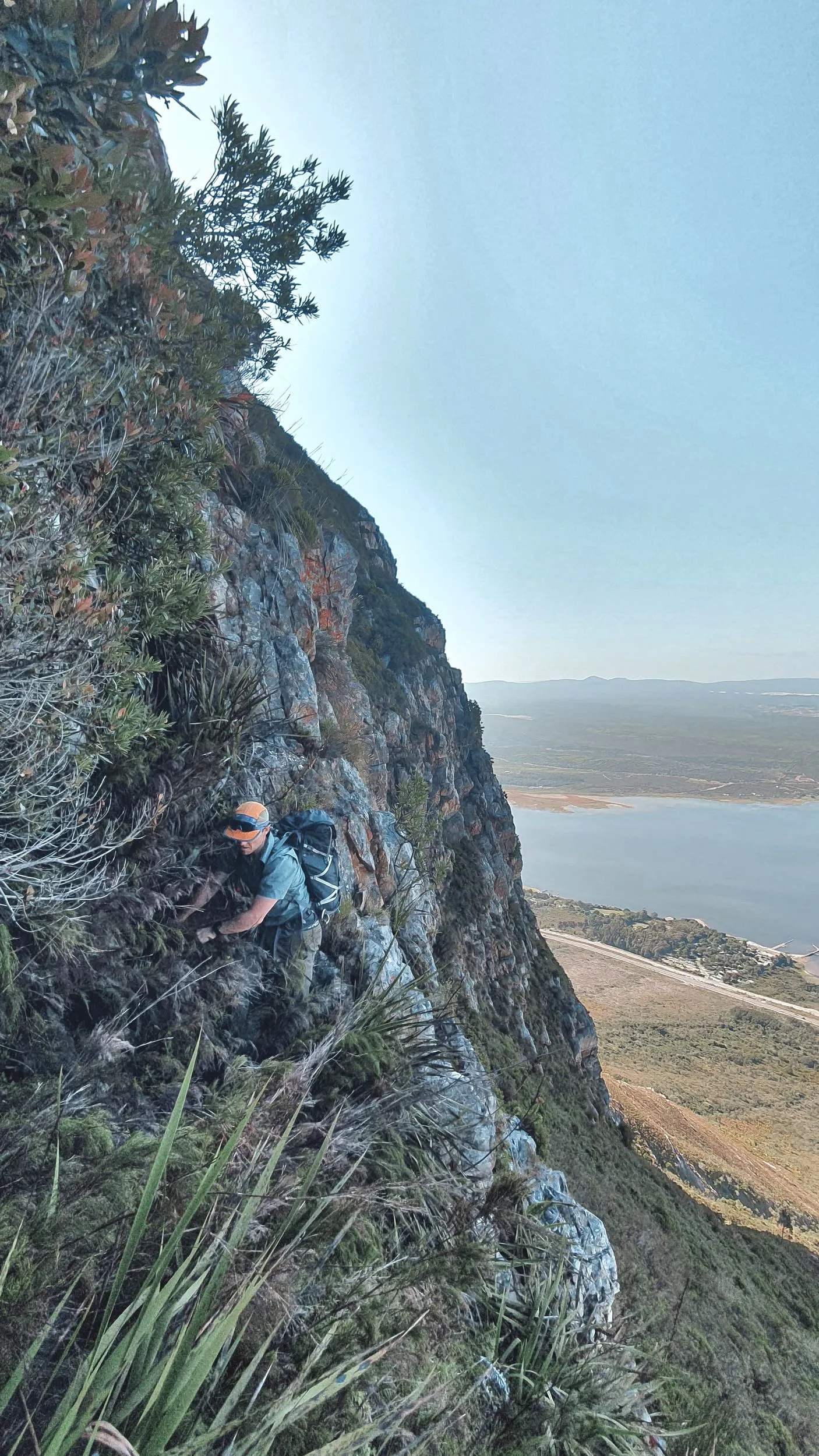 Maanskynkop Frontal — photo 2