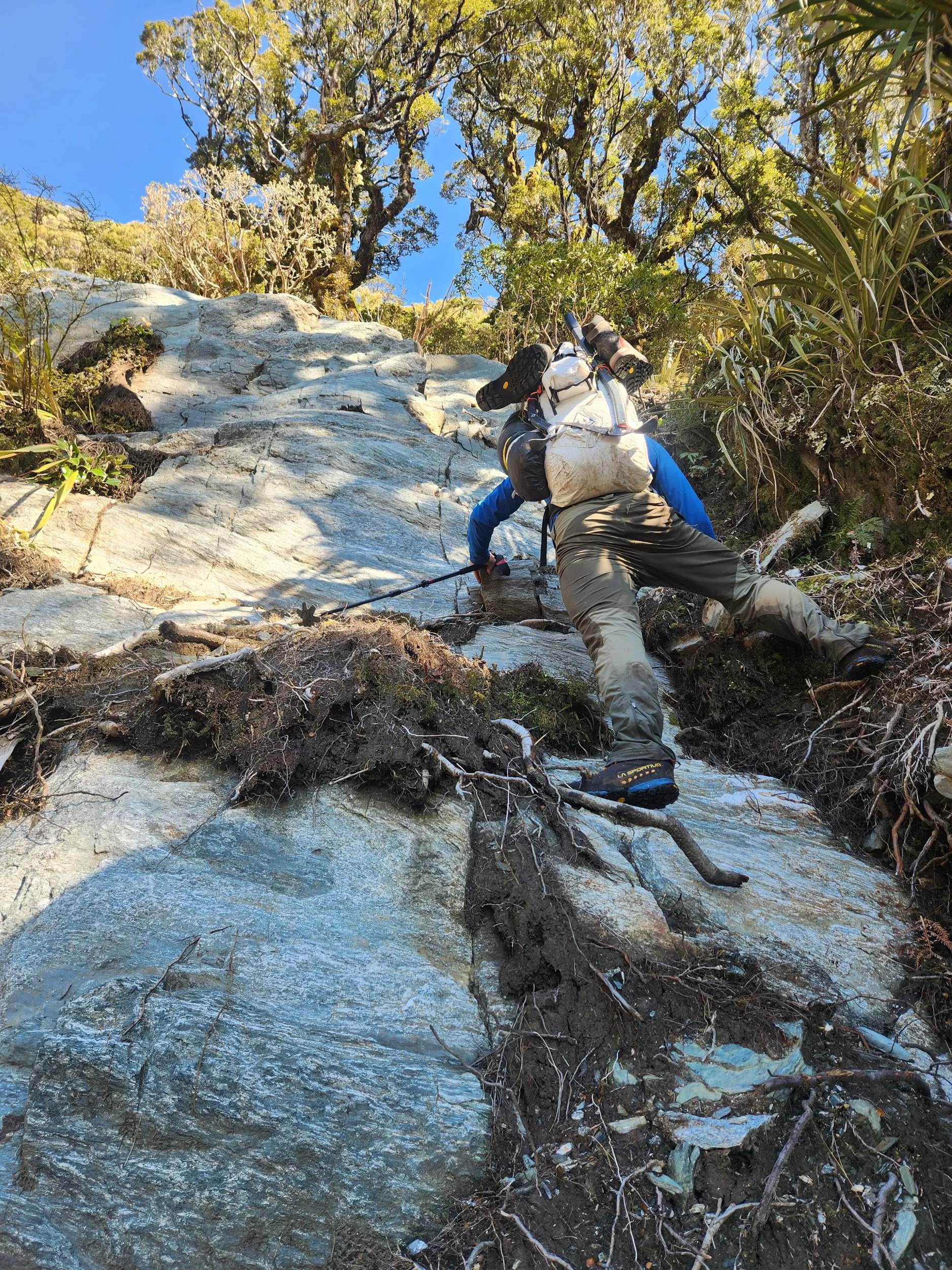 Mt Pembroke (attempt) — photo 5